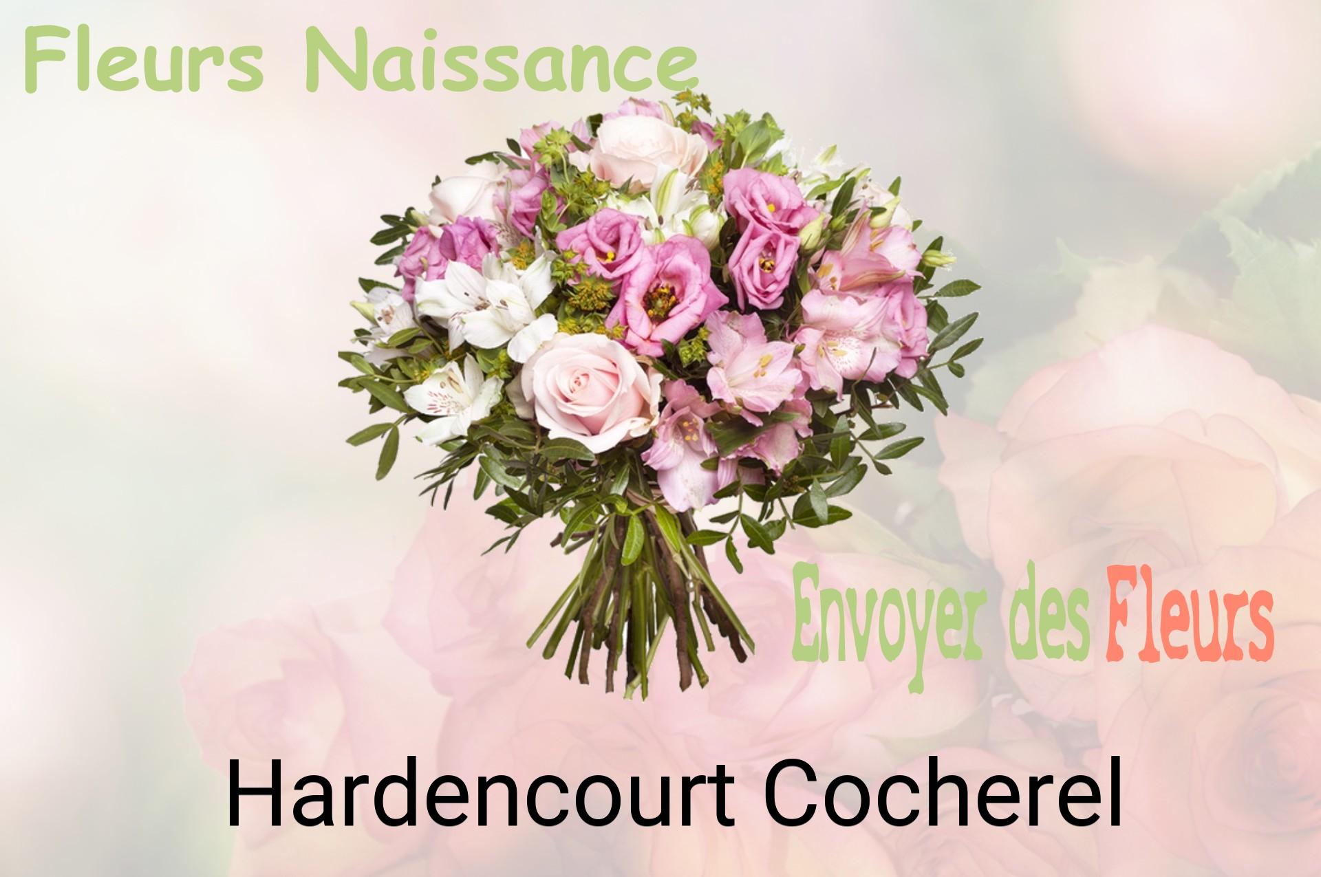 Bouquet de fleurs de naissance livré à Hardencourt-Cocherel